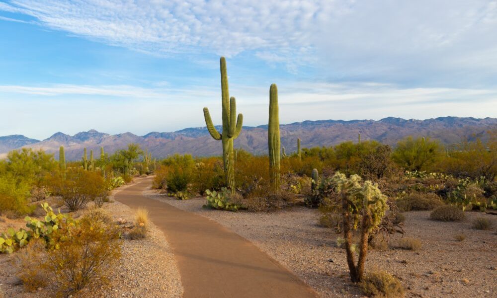 How to Retire Well in Arizona